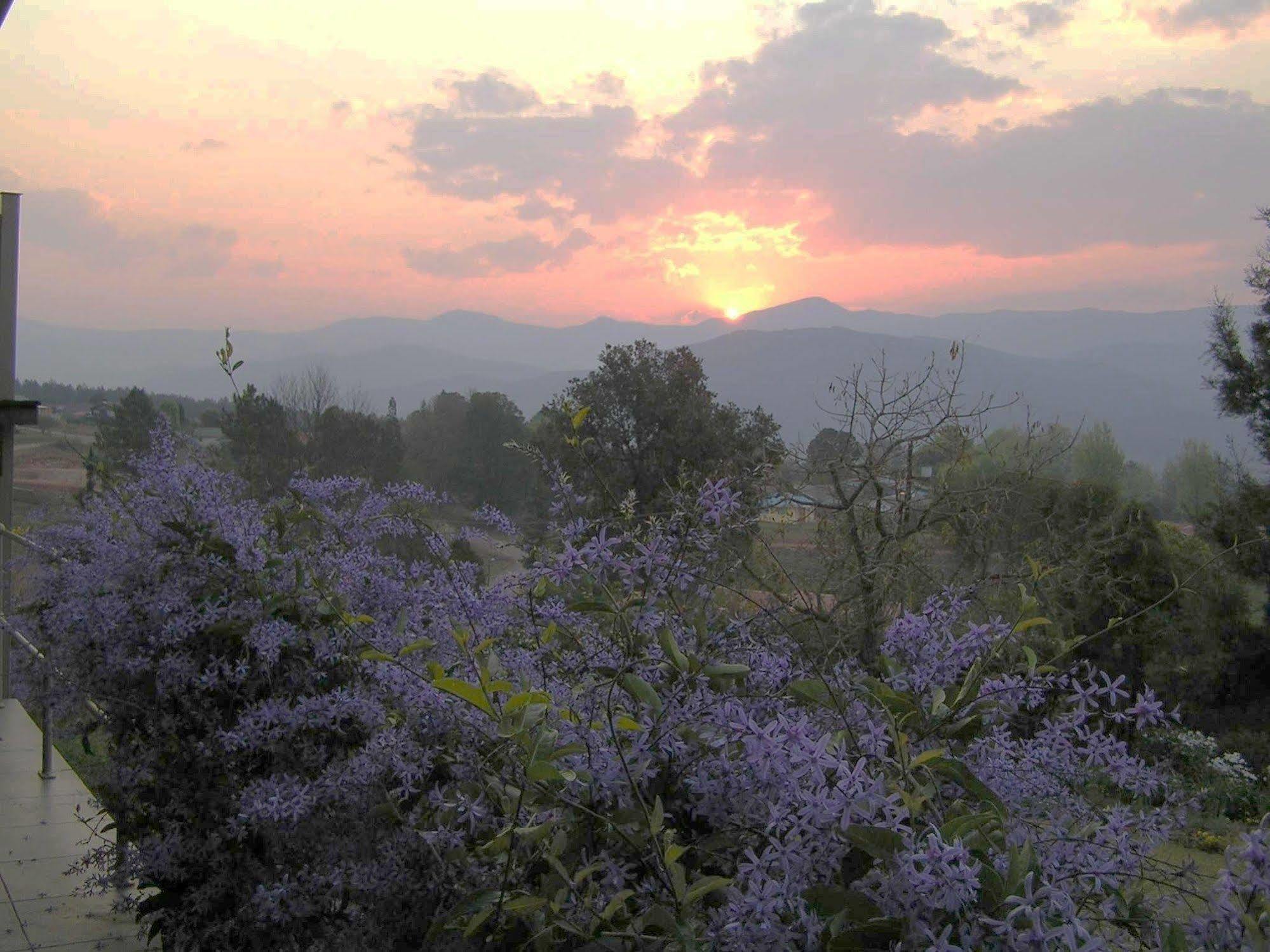 Hillwatering Country House Сабие Екстериор снимка